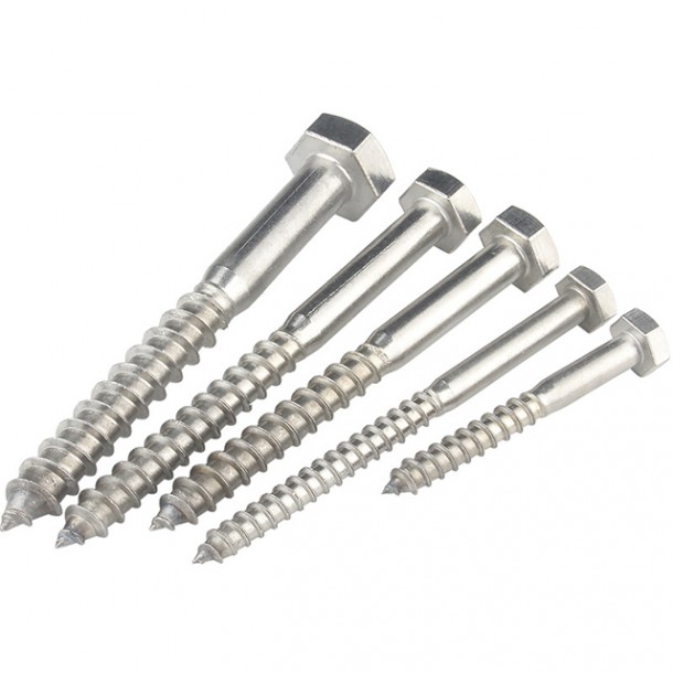 lag screw | cyfastener