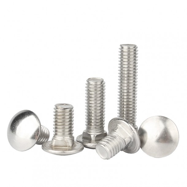 TRCC carriage bolt  | cyfastener