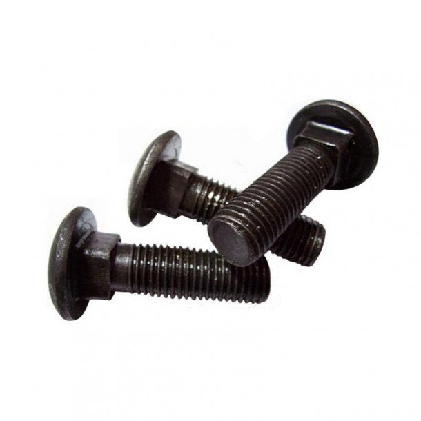 TRCC carriage bolt  | cyfastener